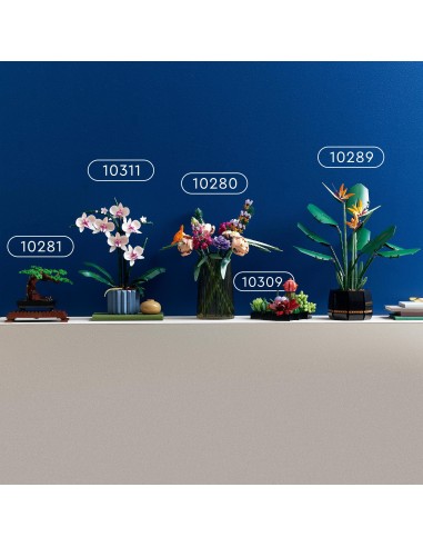 LEGO® Icons Sukulenty 10309