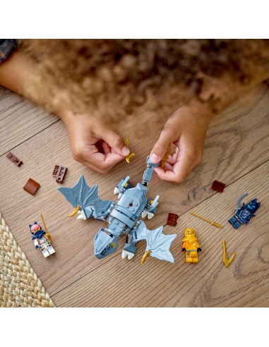 LEGO® NINJAGO Smoczątko Riyu 71810