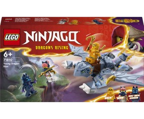 LEGO® NINJAGO Smoczątko... 2