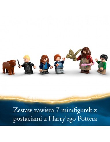 LEGO® Harry Potter Chatka Hagrida:...