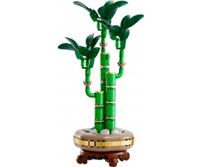 LEGO DRACENA SANDERA 10344 2
