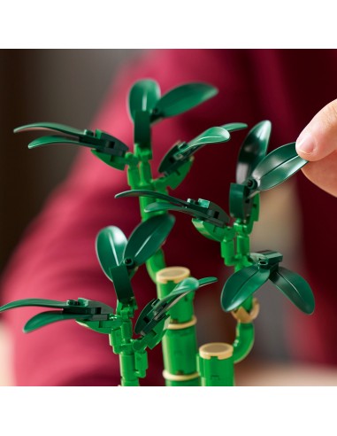 LEGO DRACENA SANDERA 10344