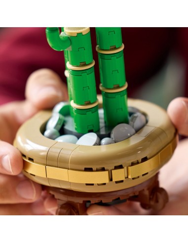 LEGO DRACENA SANDERA 10344