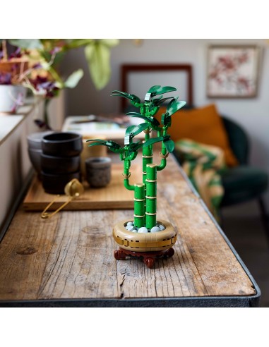 LEGO DRACENA SANDERA 10344