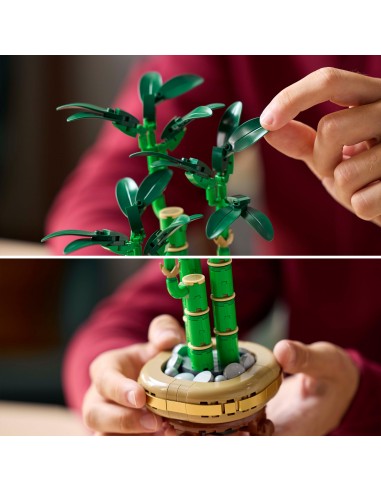 LEGO DRACENA SANDERA 10344