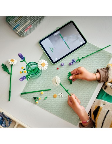 LEGO® Botanicals Stokrotki 11508