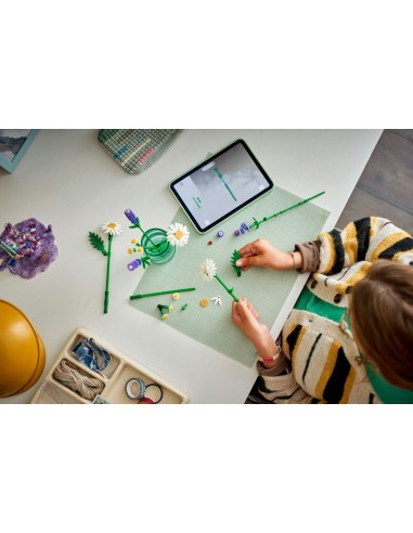 LEGO® Botanicals Stokrotki 11508