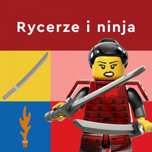 Ninja